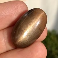 seltener Sonnenstein Katzenauge Cabochon 31.2 Karat