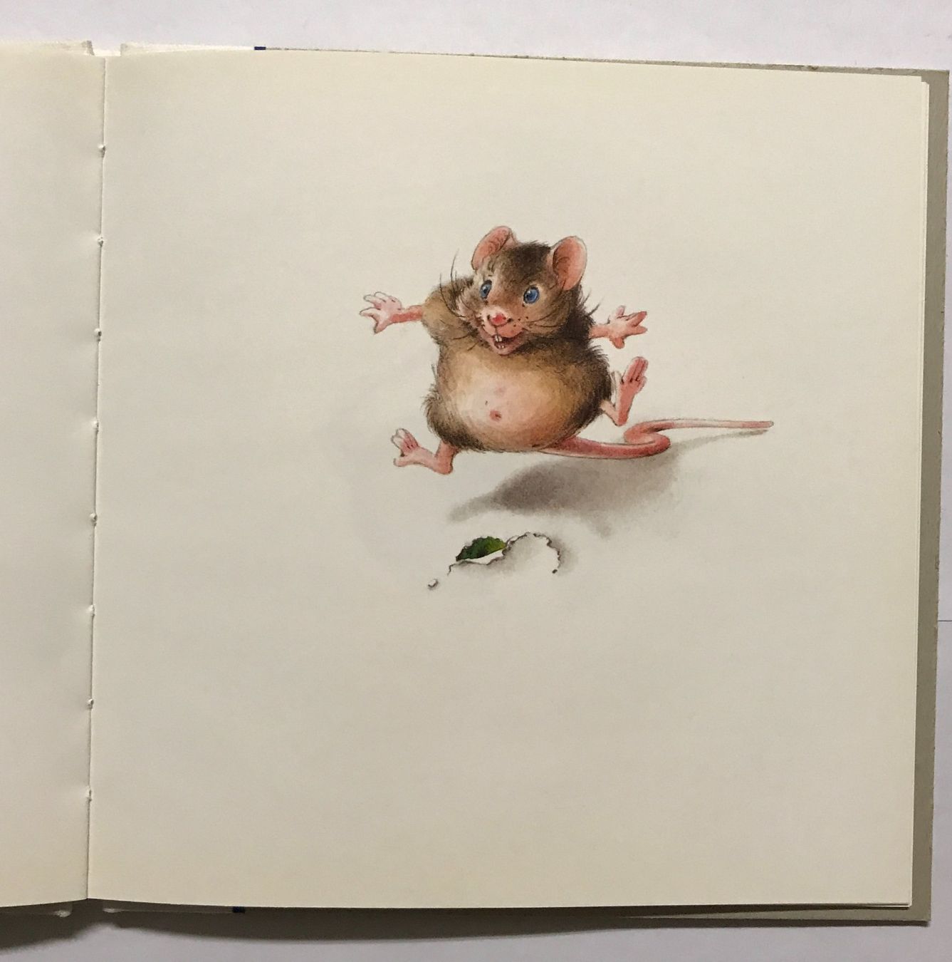 Libri: Felix Monique, Mausbuch Haus – Nuovo (secondo la descrizione) da Sarnen venduto da Livres 3