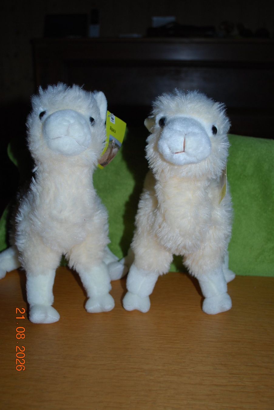 Jouets: 2 Alpaka – Neuf (Voir description) à Seedorf BE par grauerbaer2001