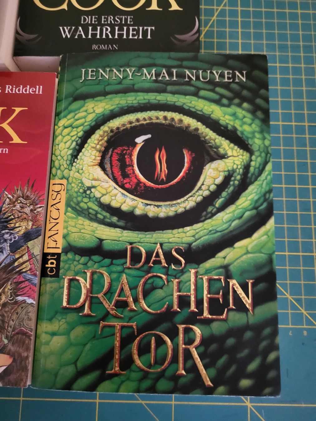 Libri: 7 Fantasybücher – Usato da Möriken AG venduto da Vandine 8