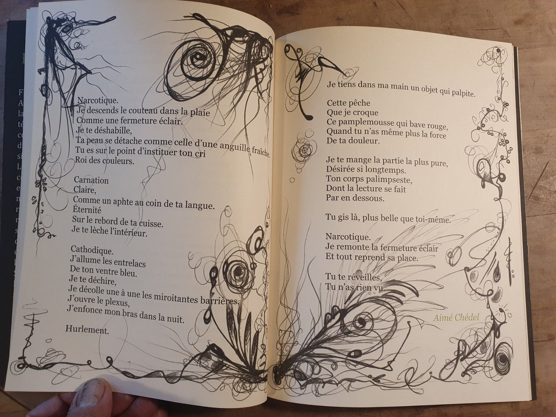 Libri: Nomades - Mai 2009 – Usato da Zürich venduto da loosebone 3