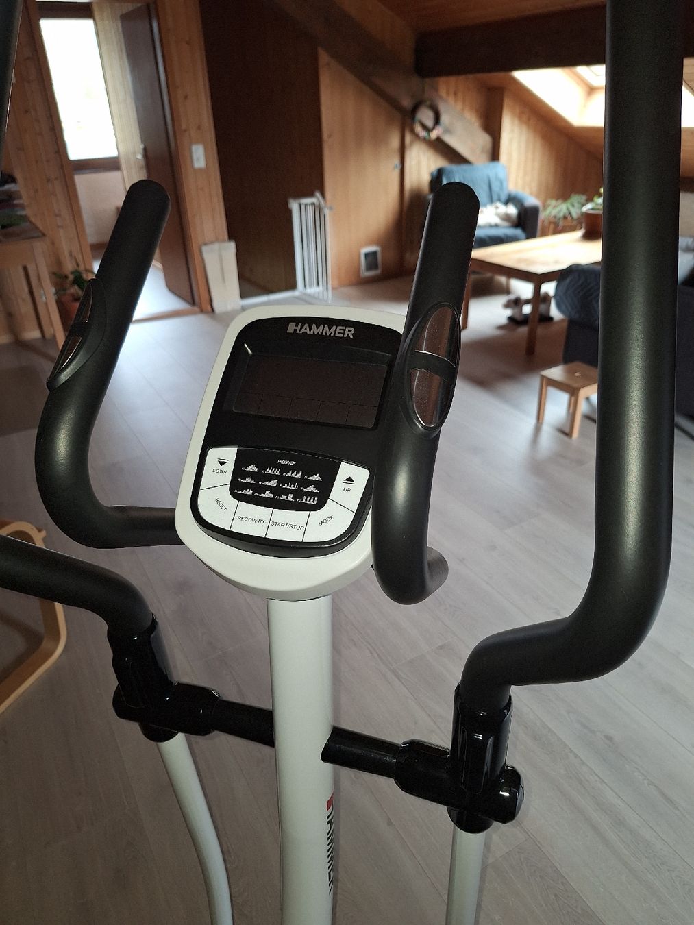 Hometrainer: Crosstech XTR Hammer – Usato da Mesocco venduto da pb123 1