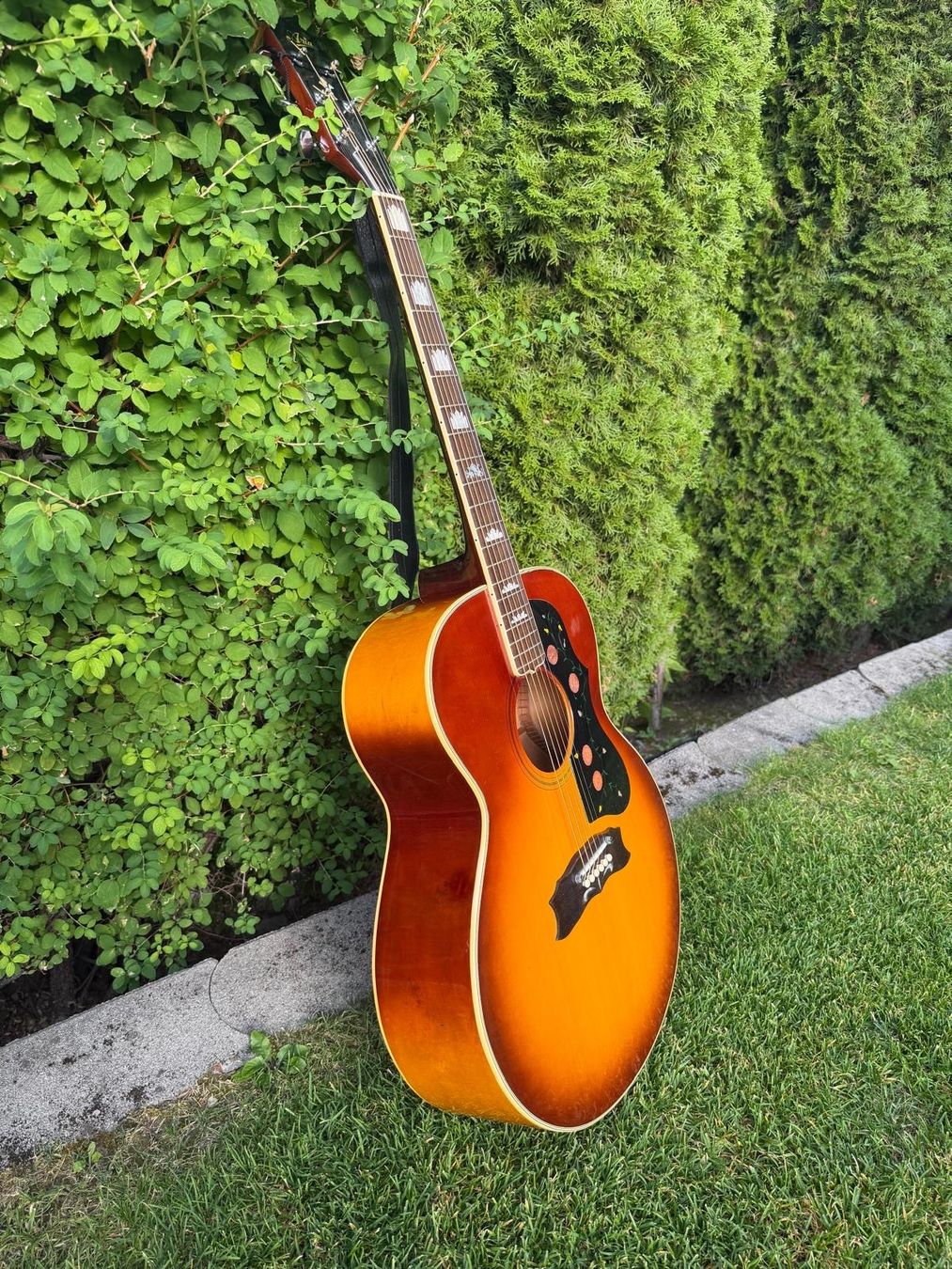 Aria Strumenti musicali: Guitare sèche Aria – Usato da Haute-Nendaz venduto da mey_nvw7 4