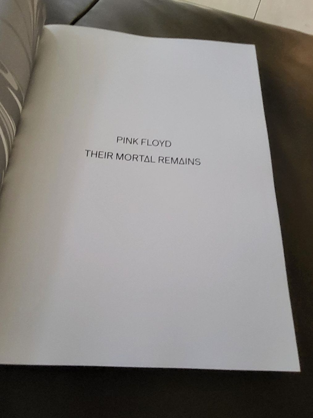 Libri: Buch PINK FLOYD THEIR MORTAL REMAINS  – Usato da nunningen venduto da mic_88k2 6