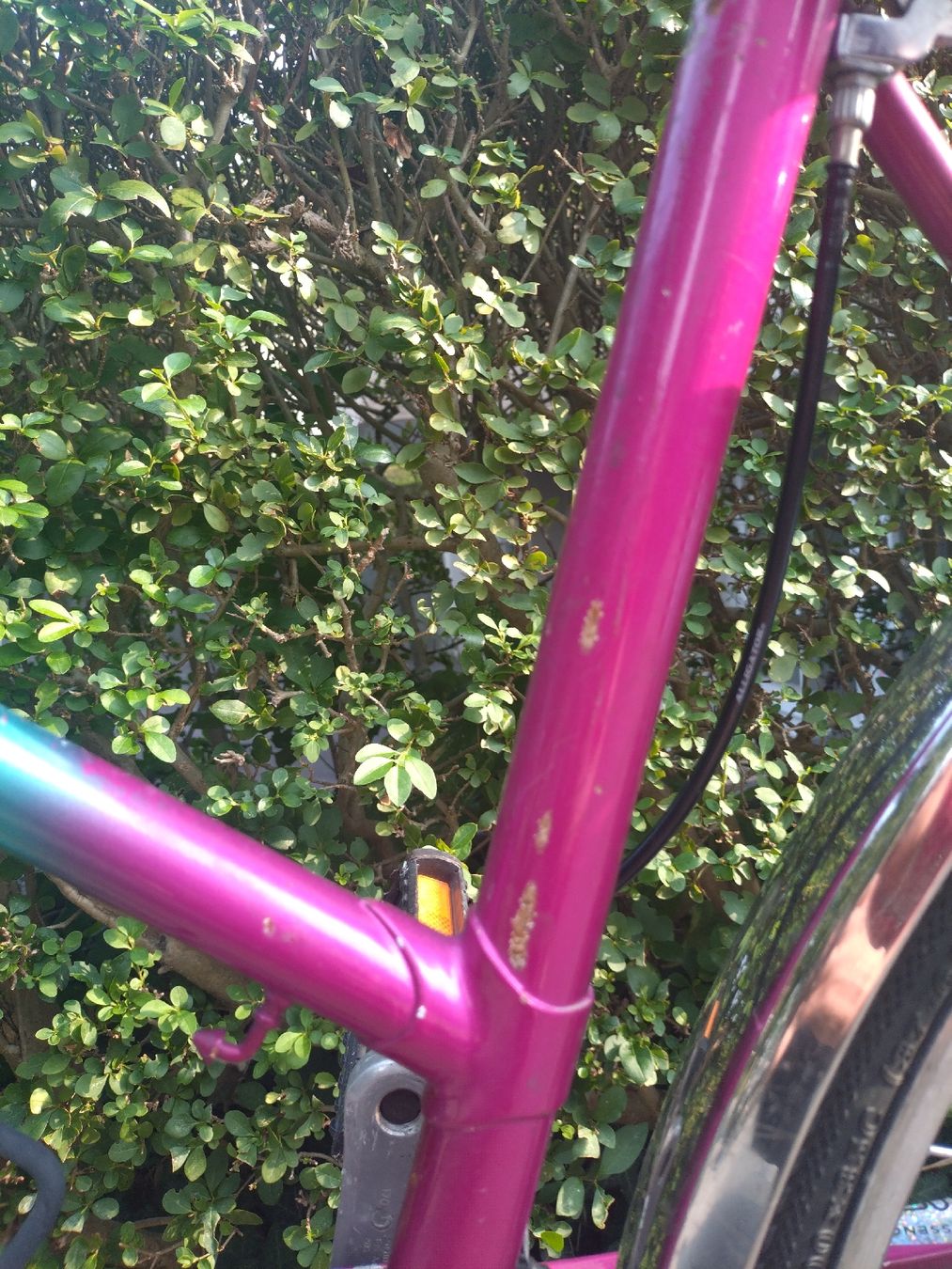 Velos: Velo Allegro – Gebraucht aus Zürich von Anelo 6