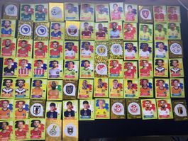 77 Stickers Panini FIFA World Cup 2026 !!
