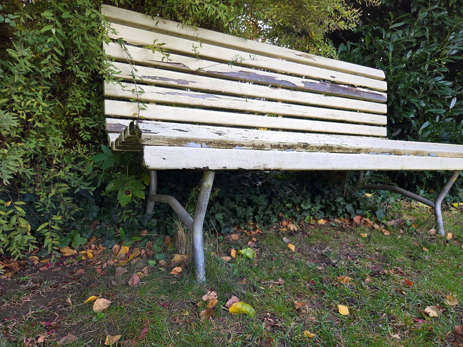 Bancs: Gartenbank – D'occasion à Goldach par ladybird75 2