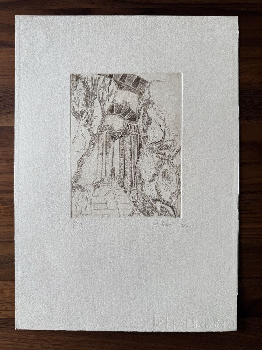 Grafica & Litografie: Radierung 34x24cm – Usato da Solothurn venduto da NUVICO 6