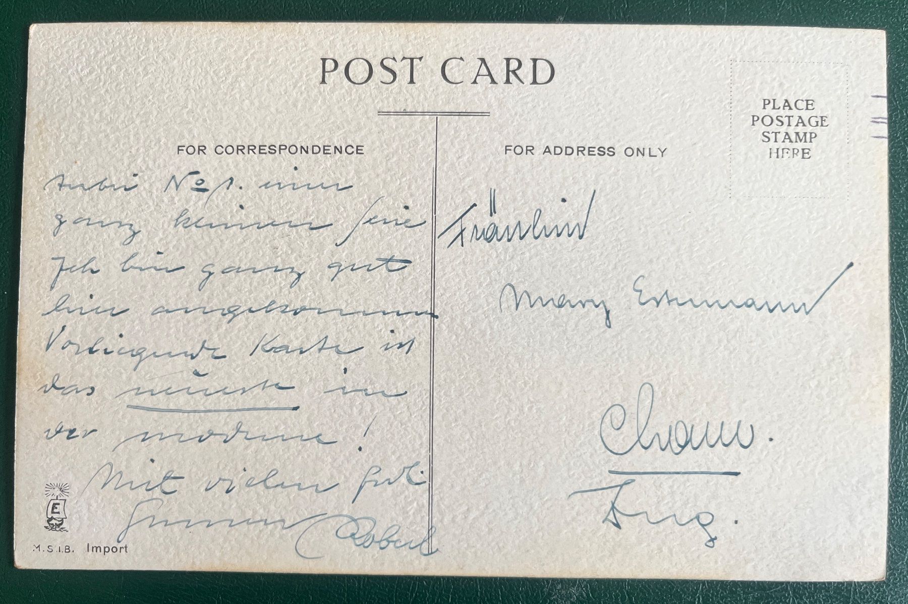 Cartoline postali: AK Dame mit Blumenschmuck Violets – Usato da Biberist venduto da Edelfloh 1