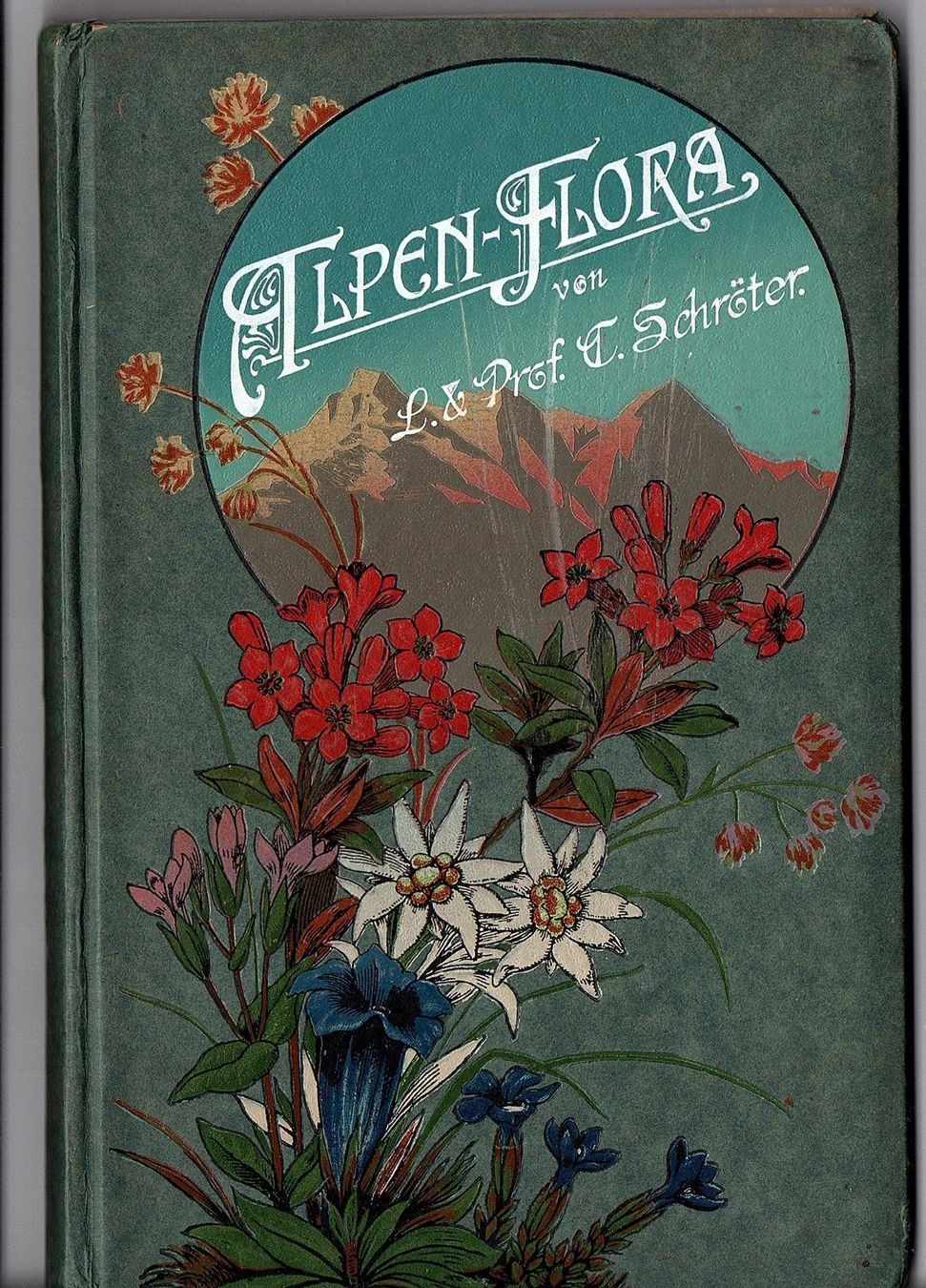 Libri: Alpenflora Schröter um 1910 – Usato da Mörschwil venduto da antiksalon