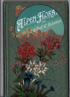 Alpenflora Schröter um 1910