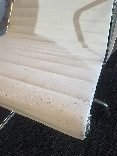 Vitra Sessel: Vitra Eames Aluminium Chair EA 124 – Gebraucht aus Zollikofen von OberliAG 5