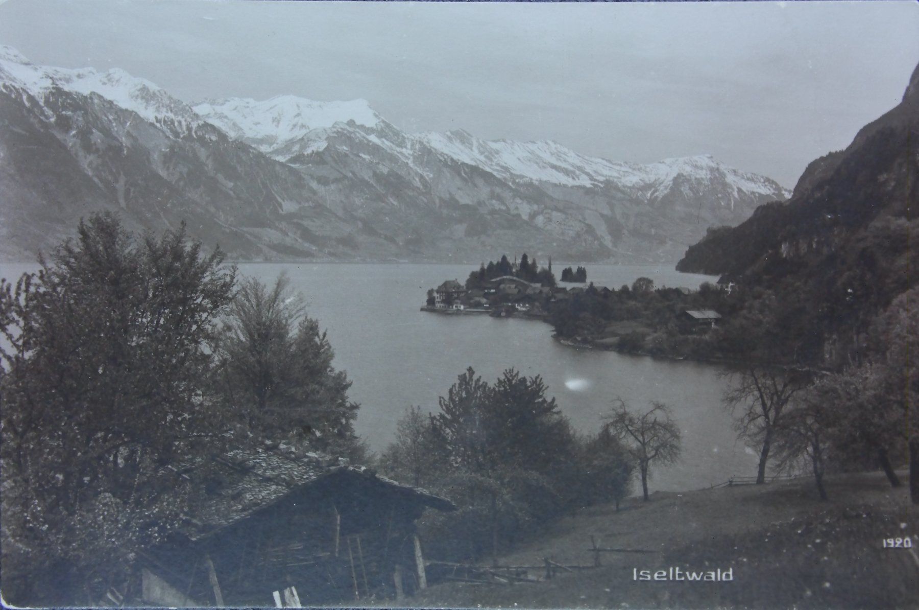 Cartoline postali: Iseltwald am Brienzersee  -  alte Ansichtskarte  -  1919 – Usato da Röthenbach i. E. venduto da Heureka5