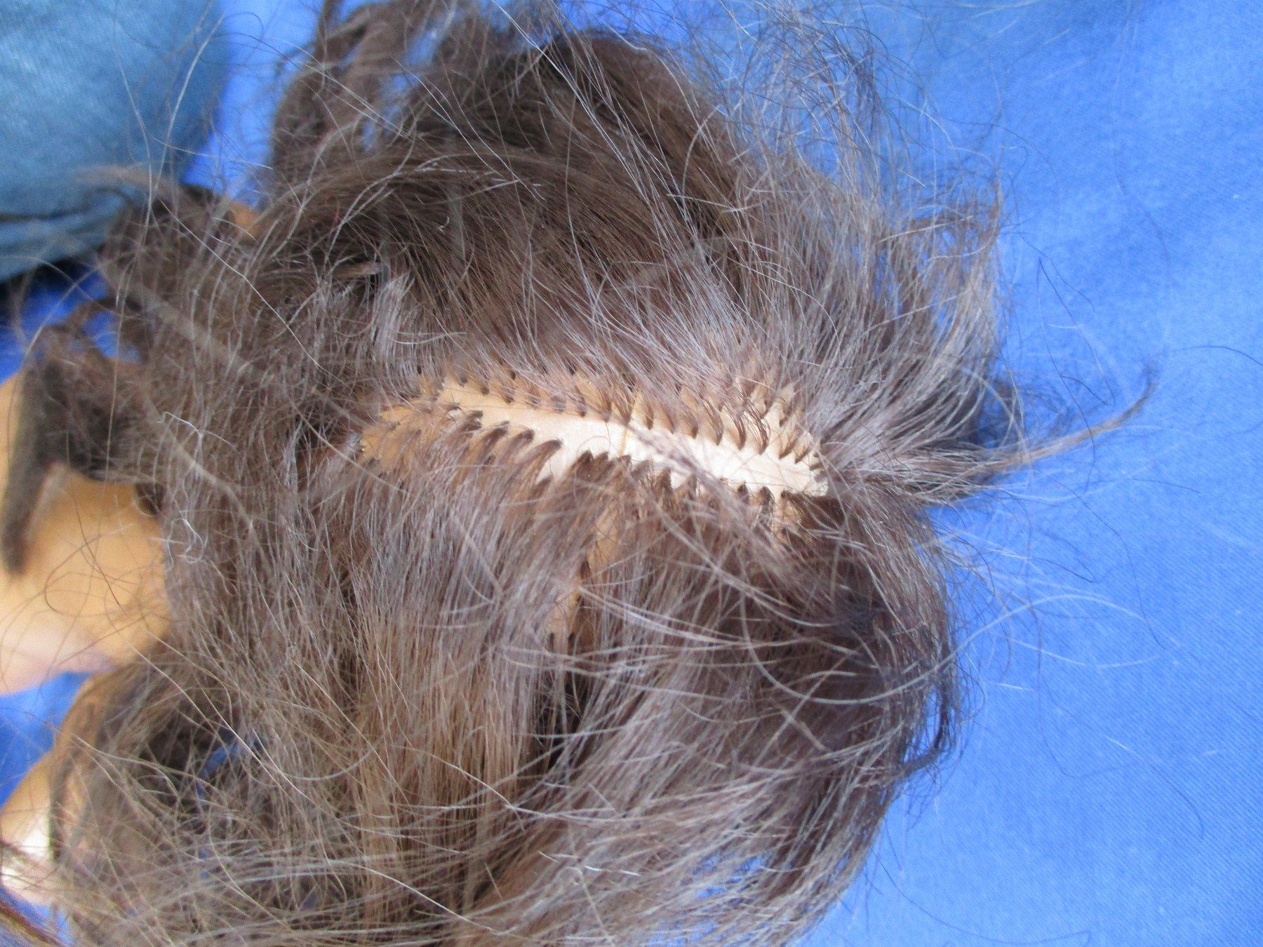 Puppen: Sasha Serie – Gebraucht aus Zufikon von Schweizer1291 7
