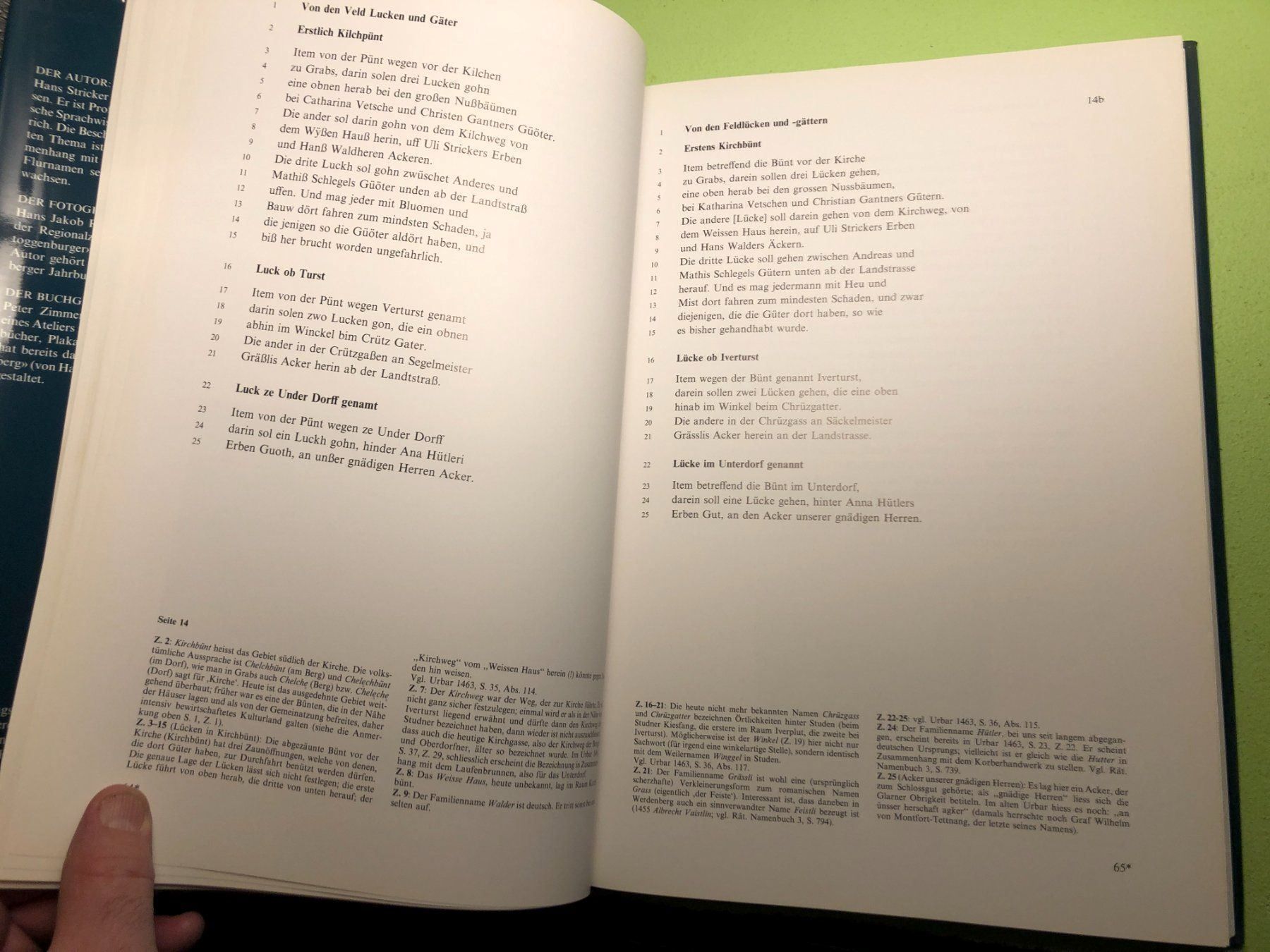 Libri: Stricker: Das Urbar der Gemeinde Grabs – Usato da Zürich venduto da allp 6