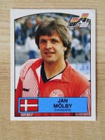 Panini Euro 1988 Einzelsticker Nr. 115