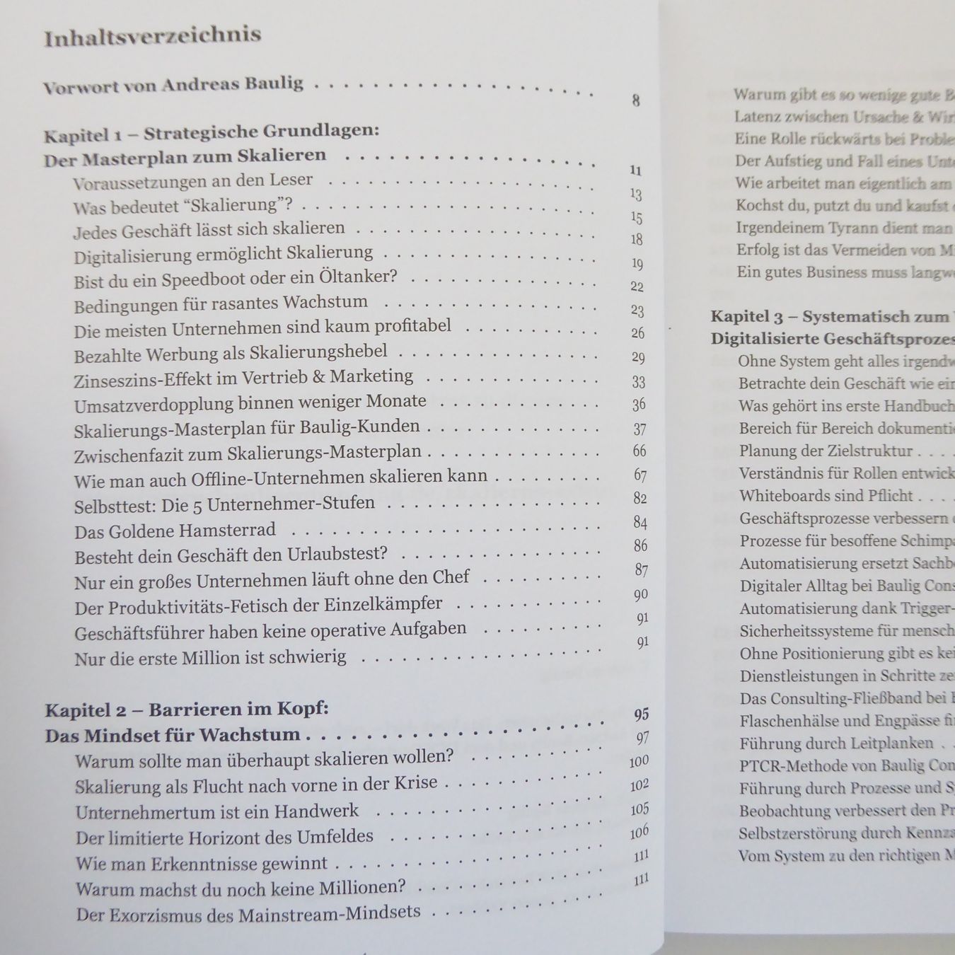 Libri: Skalieren mit System - Andreas Baulig – Usato da Basel venduto da Kunterbunt12 2