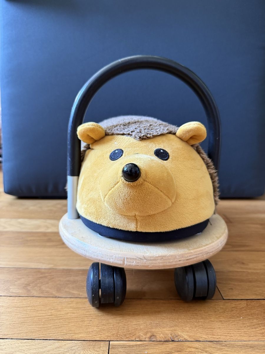 Fahrzeuge für Kinder: Wheely Bug Igel – Gebraucht aus Zürich von Soschi-25