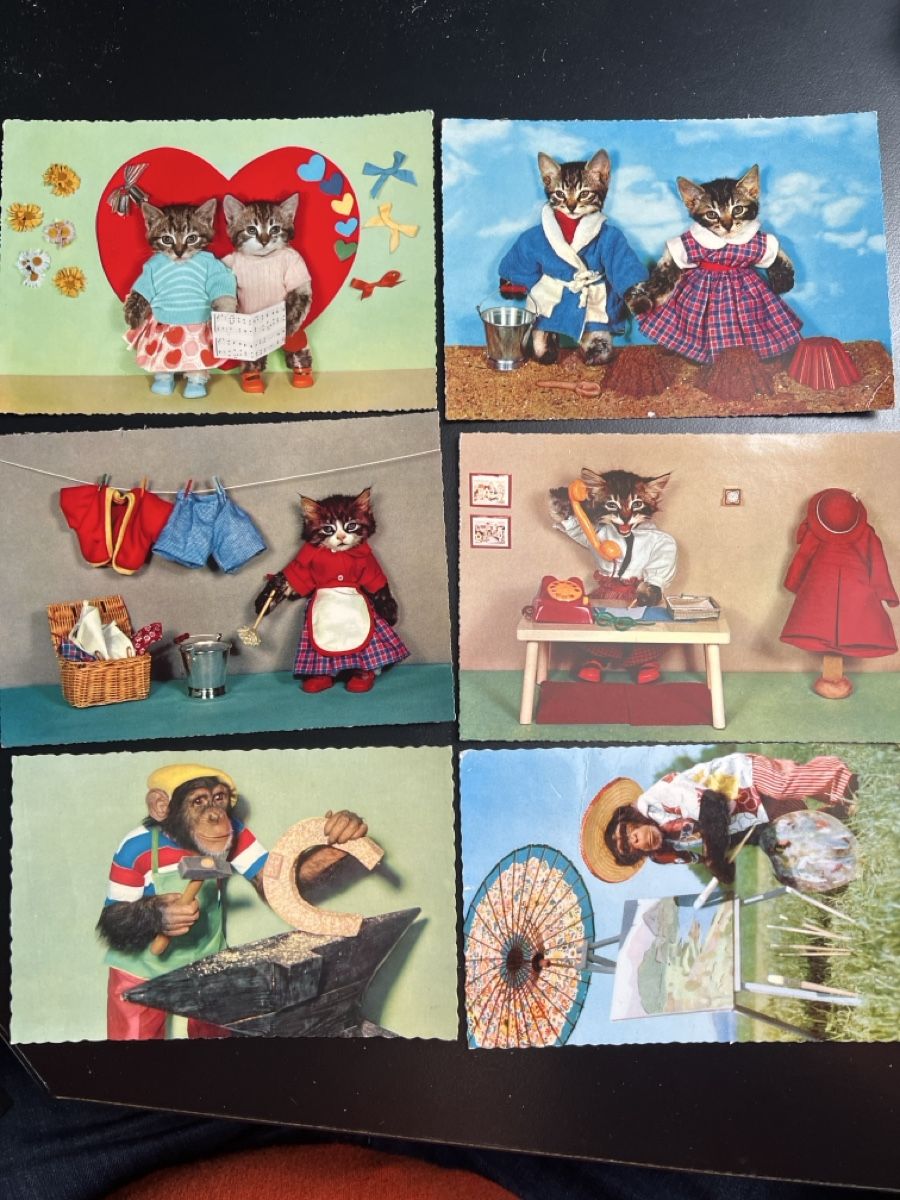 Cartoline postali: 6 cartes postales  date années 60 – Usato da Charmey (Gruyère) venduto da Rolando6