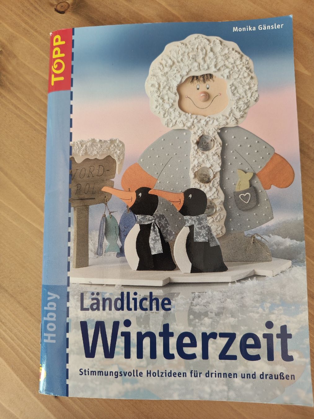 Libri: 2 Bastelbücher: Comix auf Stoff & Seide, Winterzeit – Usato da Flawil venduto da minggeli83 3