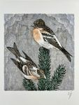 Alex Walter Diggelmann Lithografie  signiert