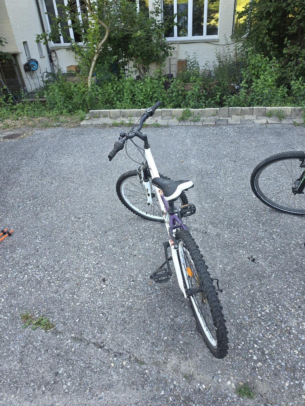 Velos: Mountainbike weiss Lila – Defekt aus Wald ZH von m_tresch