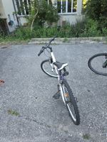 Mountainbike weiss Lila