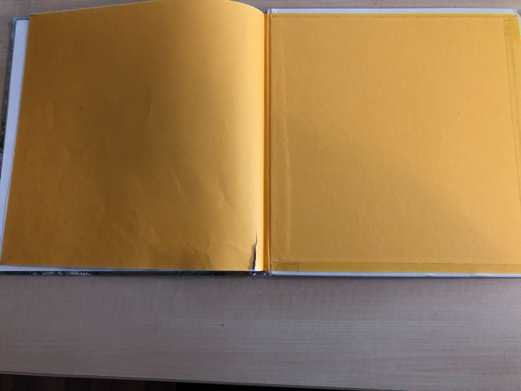 Libri: Wer bin ich? Kinderbuch über die Kuh – Usato da Aarau venduto da R-O-G-E-R 8