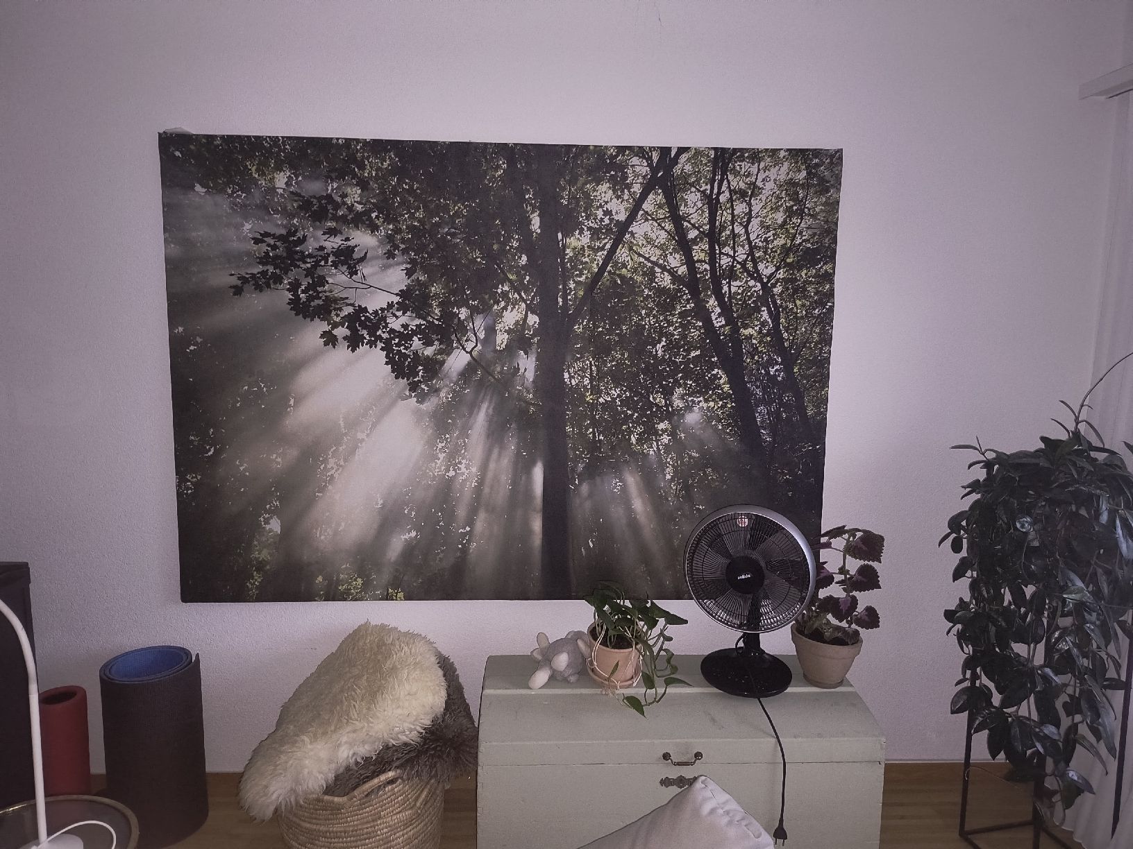 Foto & Immagini: ikea wandbild 140x200 – Usato da Schliern b. Köniz venduto da yalls