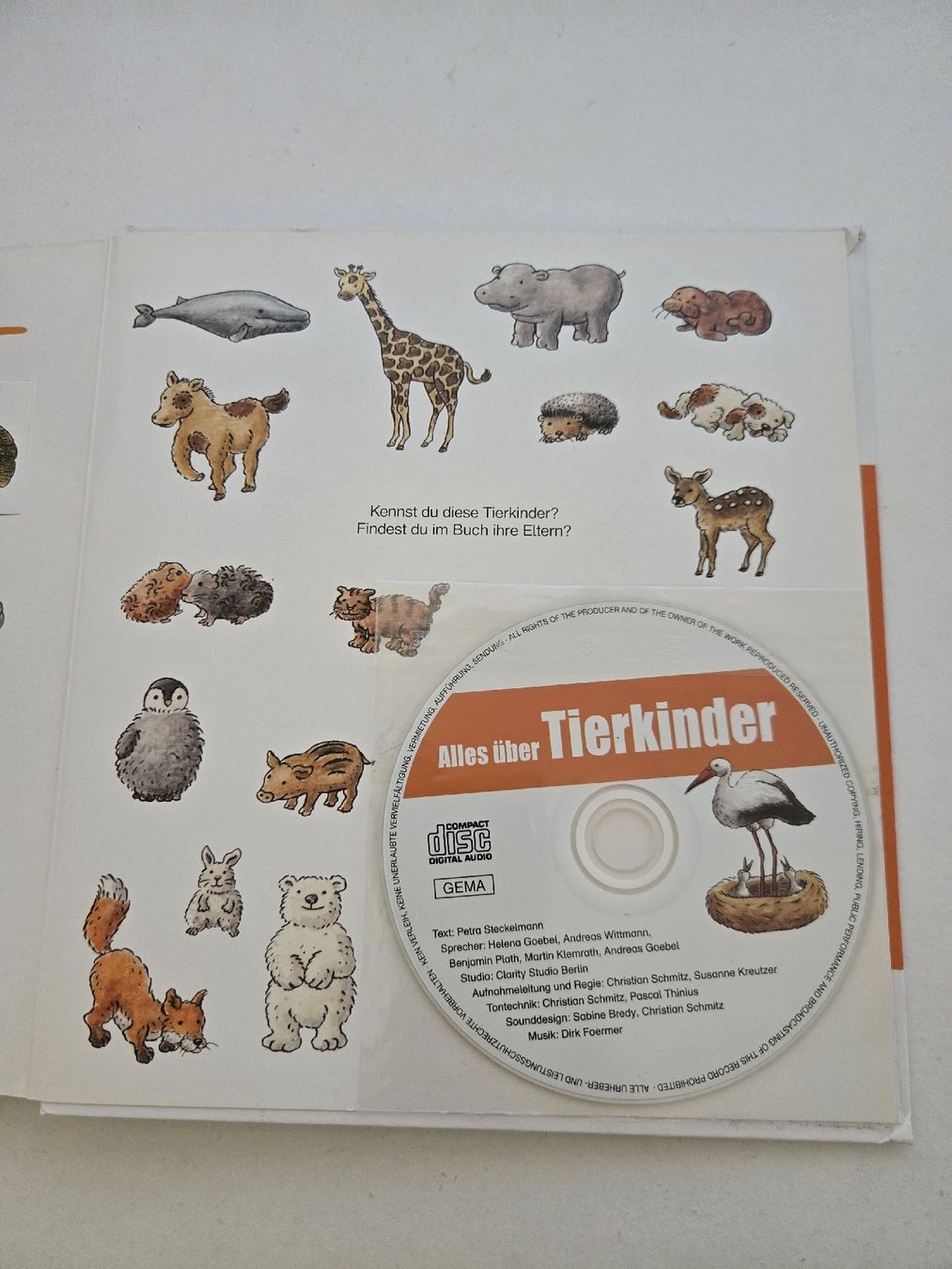Libri: Buch "Alles über Tierkinder" – Usato da Rüschegg Gambach venduto da zbi_7jfh 1