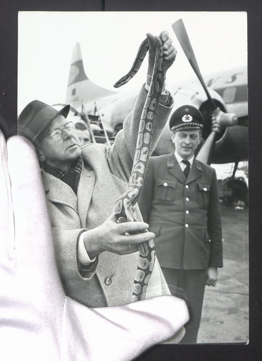 Photos & affiches: Fotografie Dr. Horst Sieloff mit einer S – D'occasion à Berlin par bartko-reher