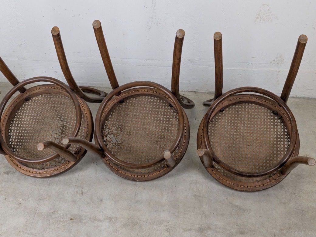 Sedie: 4 Fischer / Thonet Stühle – Usato da Zürich venduto da eggasch 5