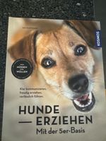 Hunde erziehen