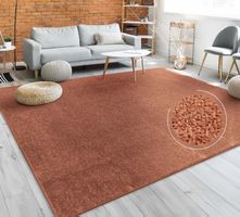 TOP Preis-Leistung 🤎  XXXL Teppich 280x380 Teppich Kupfer