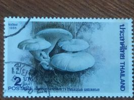 Thailand (-35%) - 1x Pilz 1986