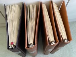 Europa, Europa-Sammlung 1956-1990 ** in 4 Vordruckalben