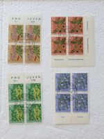 (941) «Giftpflanzen des Waldes»