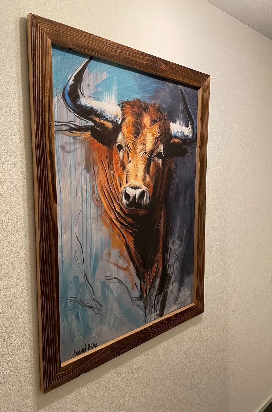 Foto & Immagini: Bild Stier Kunstdruck auf Leinwand, Holzrahmen – Usato da Brunnen venduto da Holz-style 4