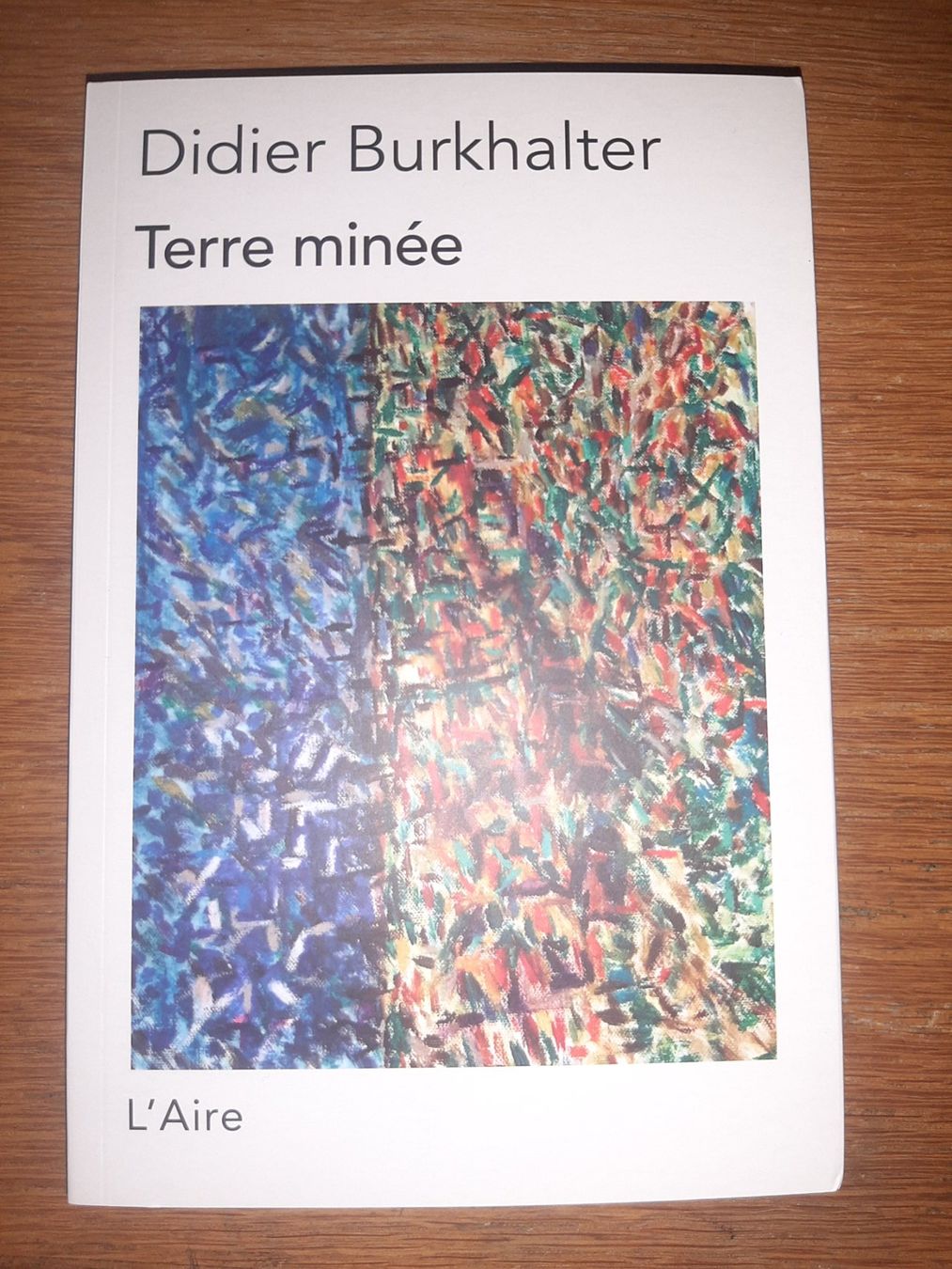 Libri: 4 Livres Didier Burkhalter – Usato da Neuchâtel venduto da Budy.jul-5 3