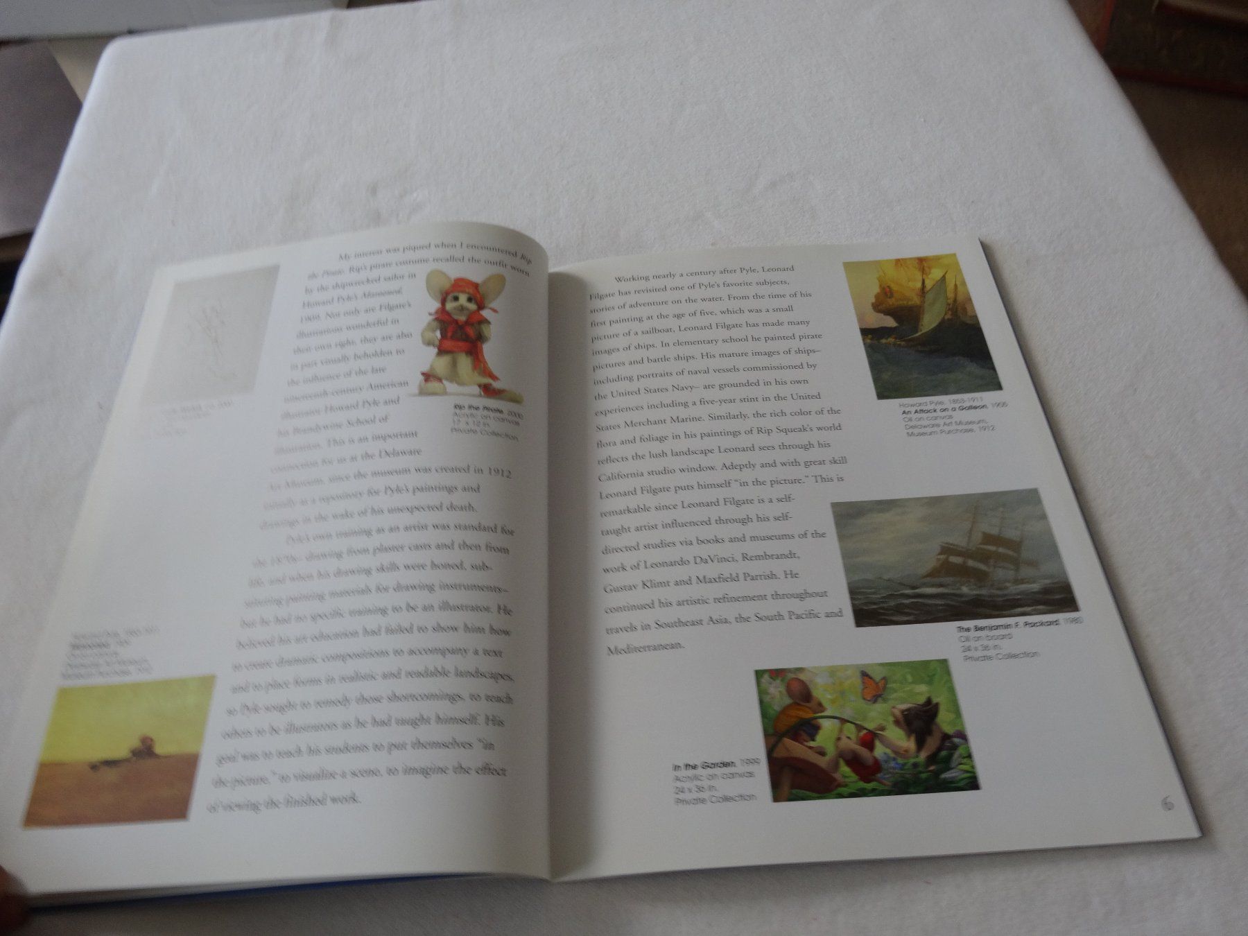 Libri: Pirate Tales and Beyond – Usato da Neerach venduto da jenny062 5
