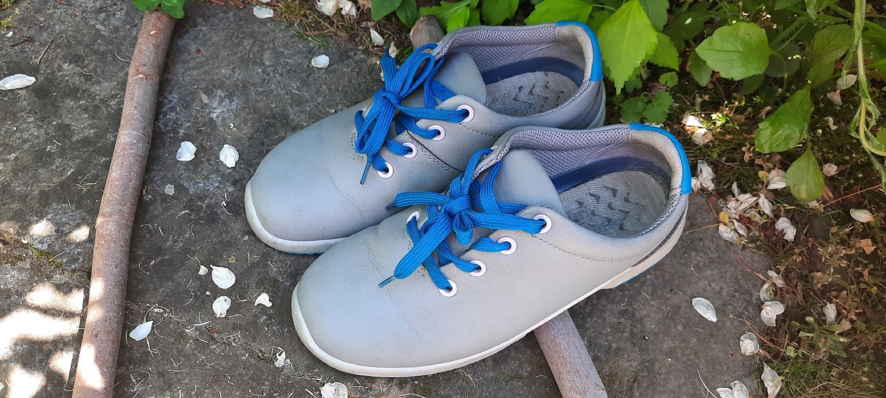 Scarpe da uomo: ABEBA bequeme Arbeitsschuhe grau / blau Größe 39 – Usato da Turbenthal venduto da tirare