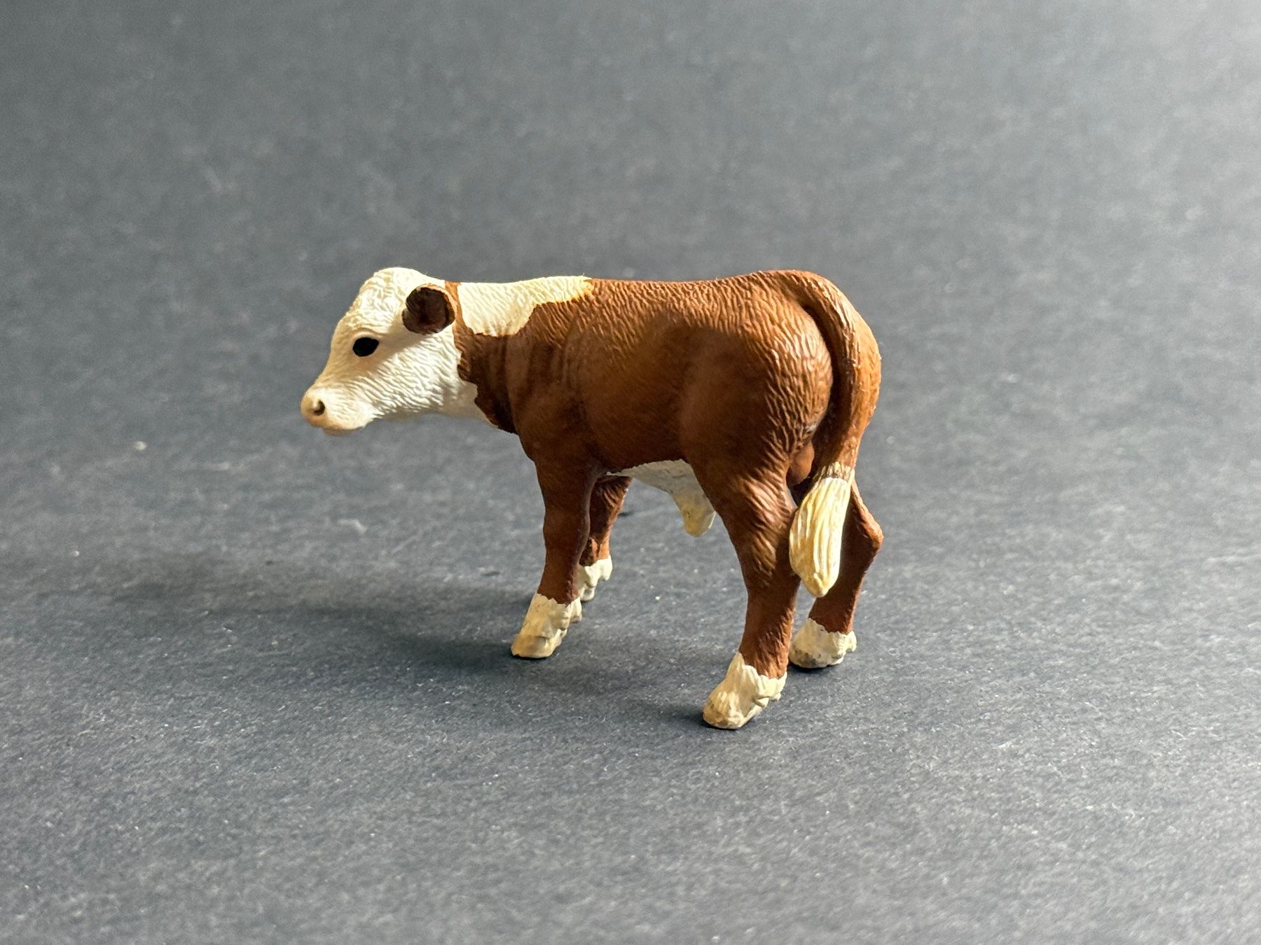 Schleich Statuette: Schleich 13765 Hereford Kalb – Usato da Ennetbaden venduto da mapa05 1