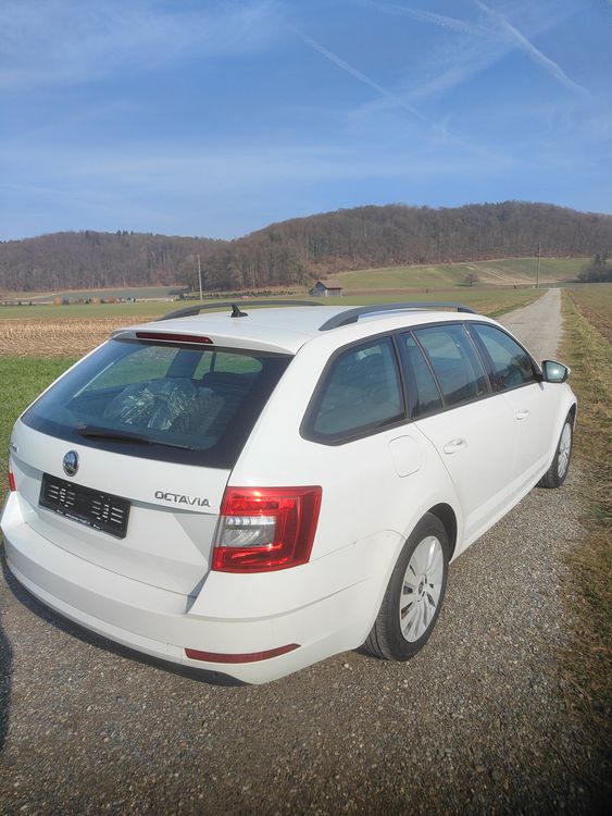 Skoda Automobili: Skoda Octavia, 1.6-Diesel, 78'000 km, MFK Nov. 2024 – Usato da Rüdlingen venduto da Heirassa1956 2