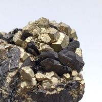 FERBERIT auf GOLDENER PYRIT, Peruanische WOLFRAMIT