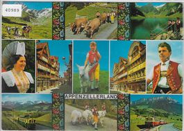 Appenzellerland - Bahn, Ziegen - Multiview