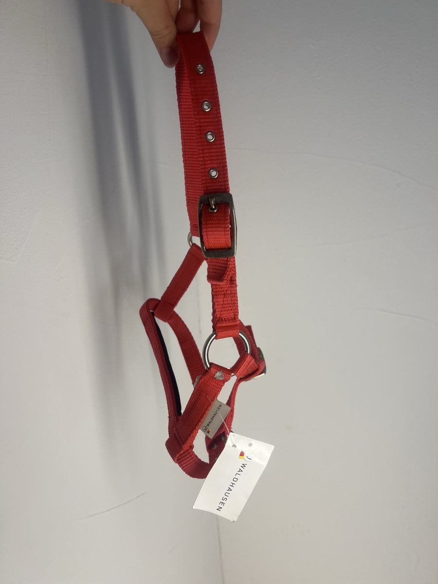 Licol Rembourré WALDHAUSEN Pour Mini-shetty / Poney - Couleur Azalée