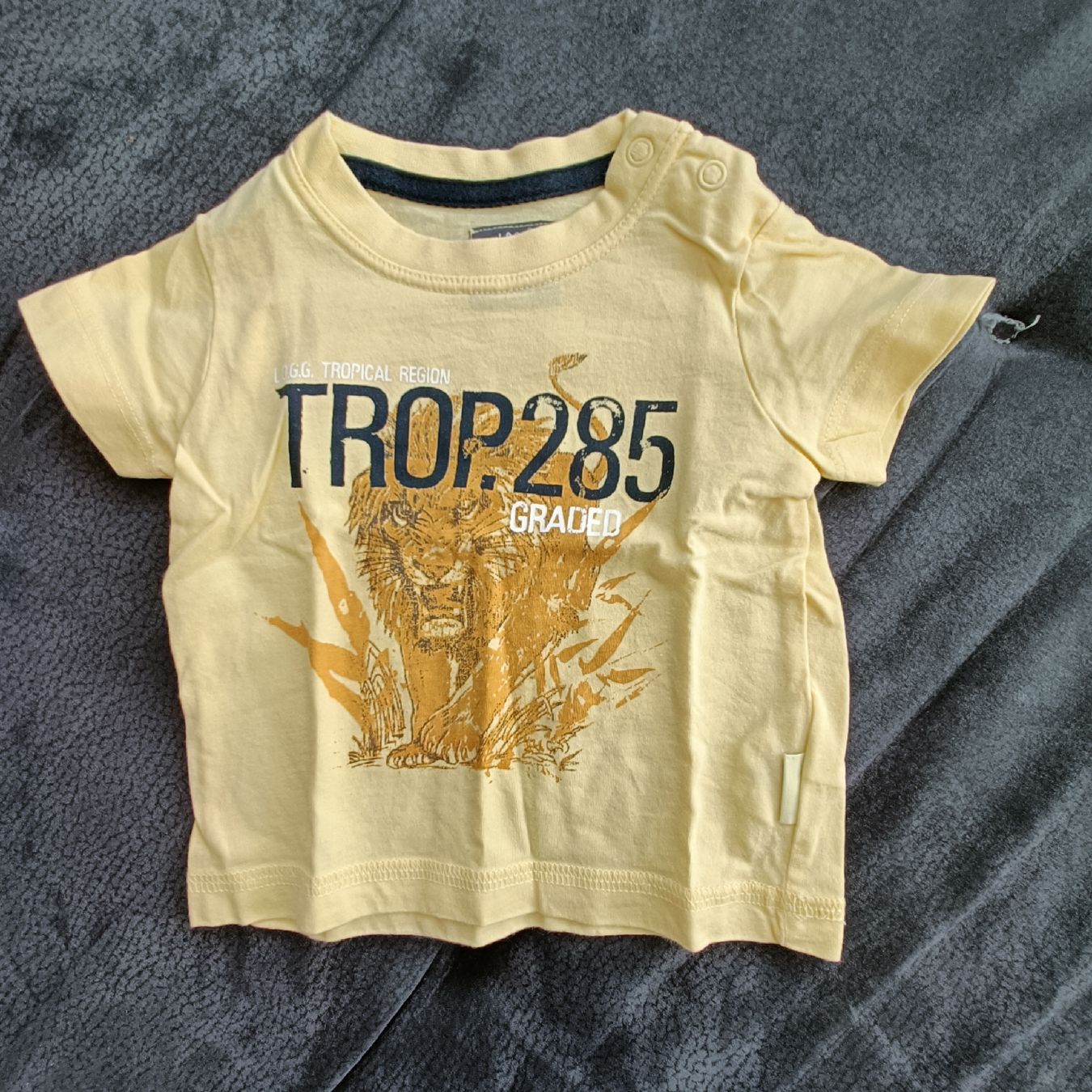 Camicie, T-shirt & Polo: T-Shirt Grösse 62 – Usato da Jaberg venduto da urig17.