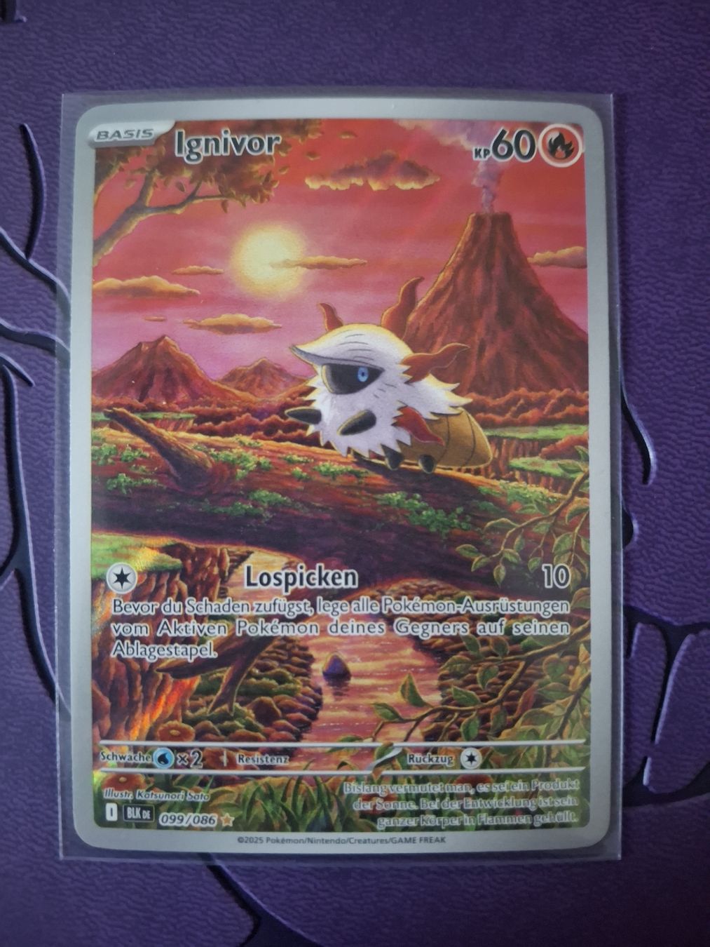 Pokémon Carte collezionabili: Ignivor 099/086 Black bolt – Nuovo (secondo la descrizione) da Münsingen venduto da ama_9cdk
