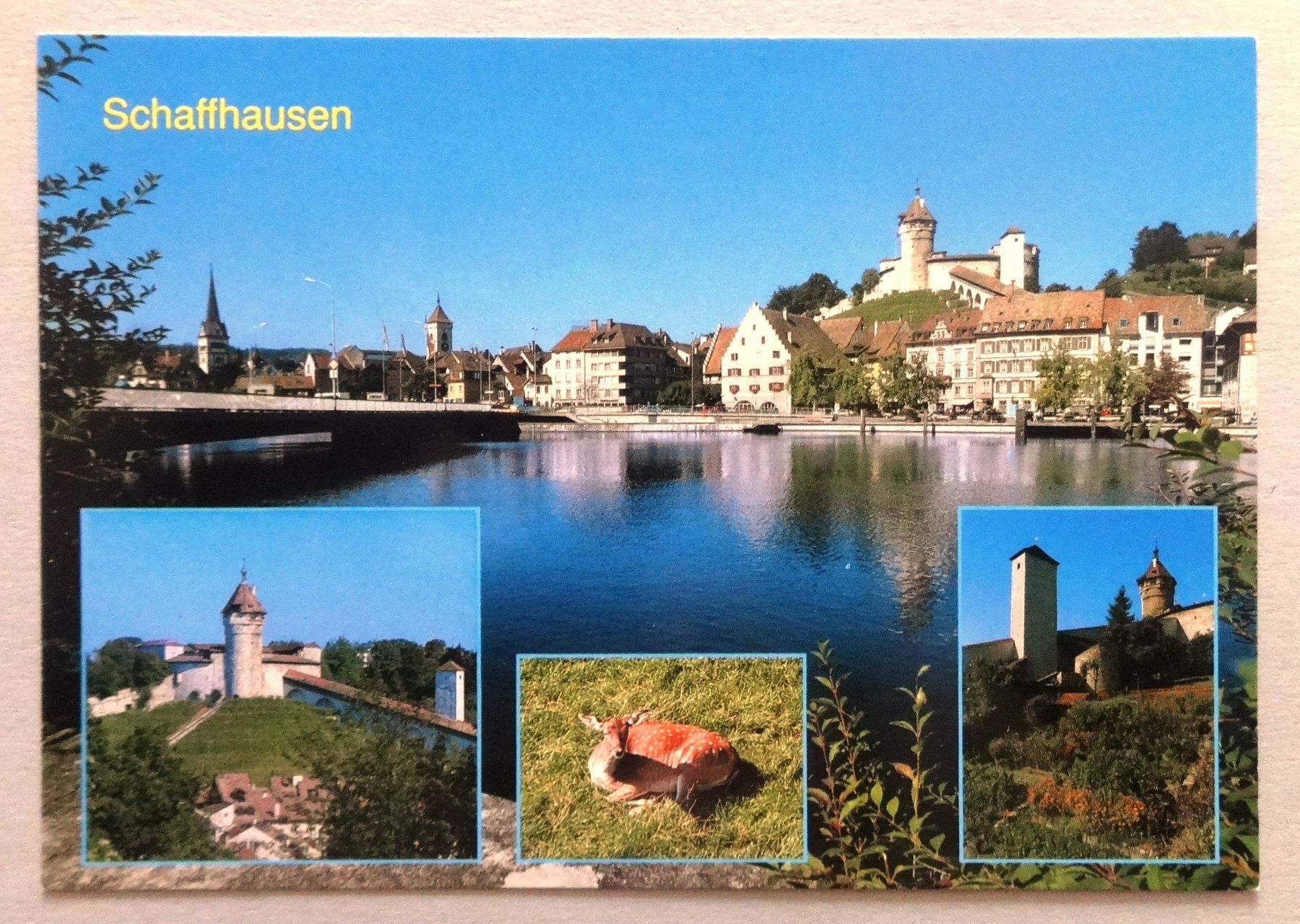 Cartoline postali: Schaffhausen mit Munot – Usato da Fétigny venduto da Billy2miny