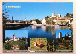 Schaffhausen mit Munot